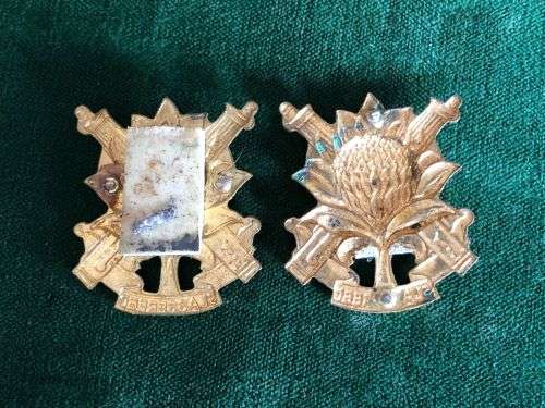 REGT. LANGENHOVEN PARK GILDING METAL COLLAR BADGE PAIR- NO PINS