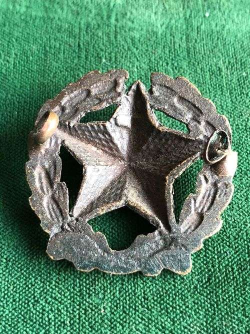 INDIAN ENGINEERS CAP BADGE