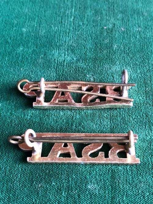 RHODESIA BSAP TITLE PAIR ANODISED 1970`S-1980-LUGS INTACT