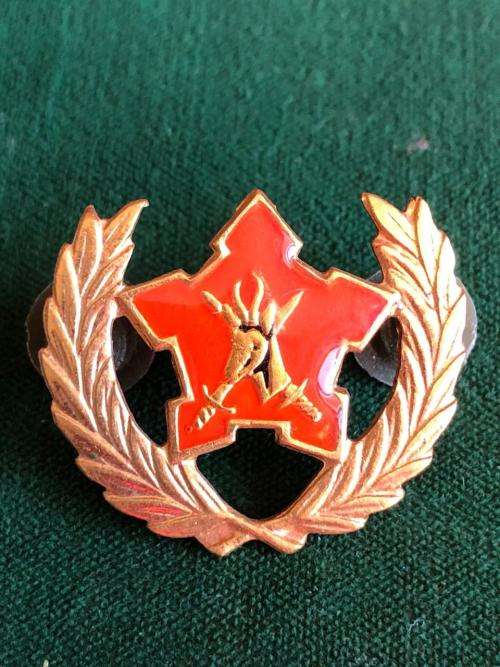 ARMY BREAST BADGE FOR CITIZEN FORCE COMMANDO`S AND VOLUNTEERS FOR 5 YEAR SERVICE-PIN INTACT