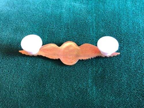 SAAF PILOT MESS DRESS,BREAST BADGE- 2 PINS-GILT