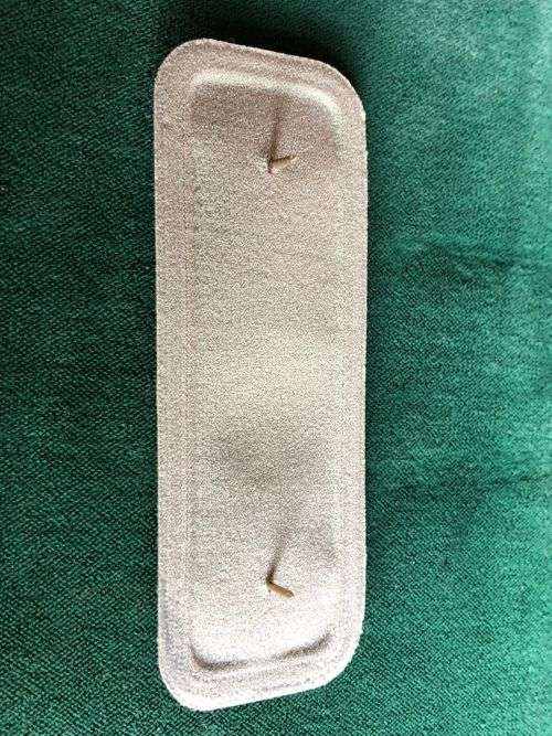 SA PARABAT INSTRUCTOR WING-COMBAT DRESS- 2 PINS- TUPPERIZED