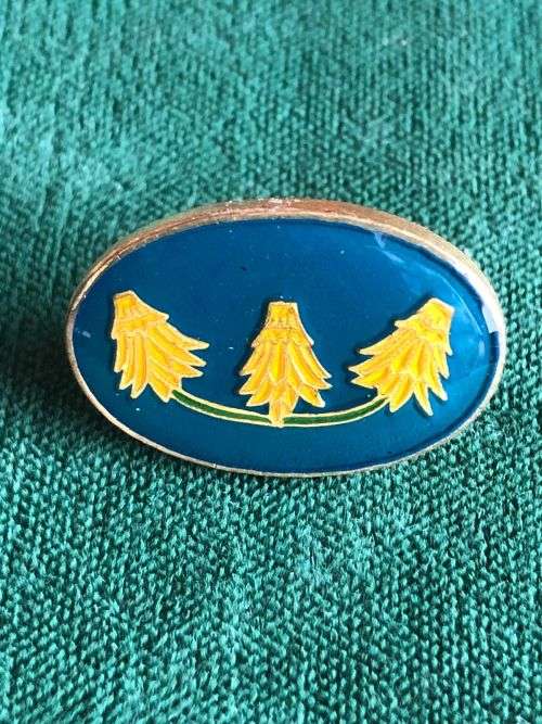 FAR NORTH COMMAND WORKSHOP,BUTTON BADGE- WORN ABOVE BERET BADGE-APPROVED IN 1991- 1X SCREW LUG