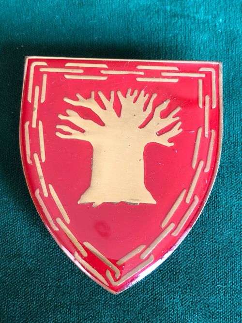 LIMPOPO ARMY SUPPORT BASE FLASH - 3 PINS