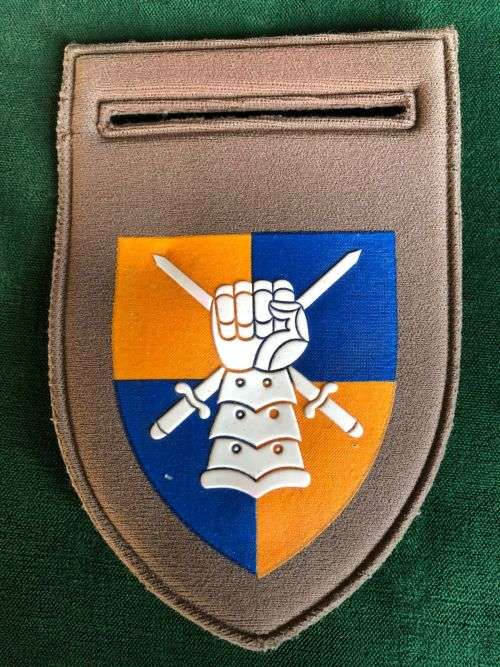 ARMY BATTLE SCHOOL TUPPER FLASH- ONE PIN