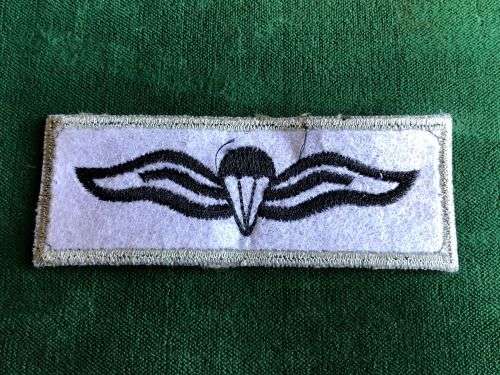 PARABAT BASIC PARA WING