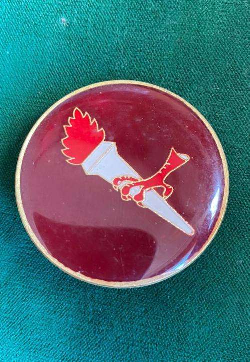 44 PARABAT BRIGADE PATHFINDERS ARM BADGE- 2 PINS