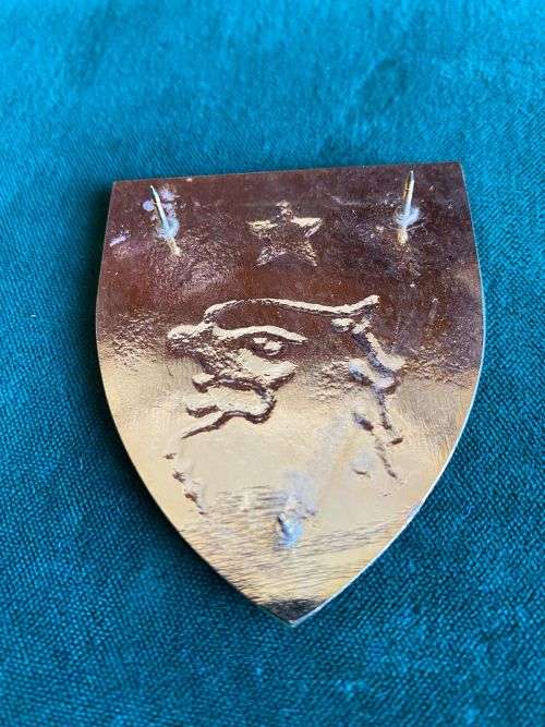 44 PARACHUTE BRIGADE FLASH- 3 PINS