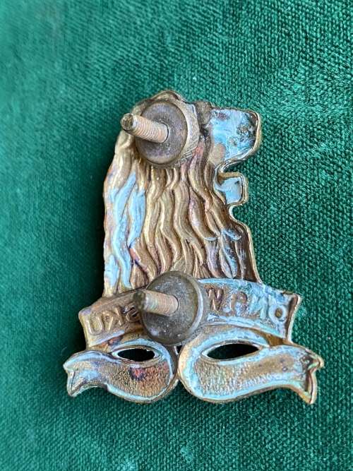 REGIMENT DE LA REY ,GILDING METAL CAP BADGE-(LIONS MOUTH OPEN) WORN POST 1964-2X SCREW LUGS