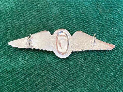 SA PARACHUTE FREEFALL INSTRUCTOR,CHROME AND ENAMEL (LUCITE COVERED) MESS DRESS WING-WORN FROM THE 19