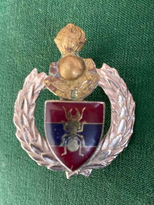 ENGINEERS/1 CONSTRUCTION REGIMENT CAP BADGE-APPROVED IN 1986-2X SCREW LUGS