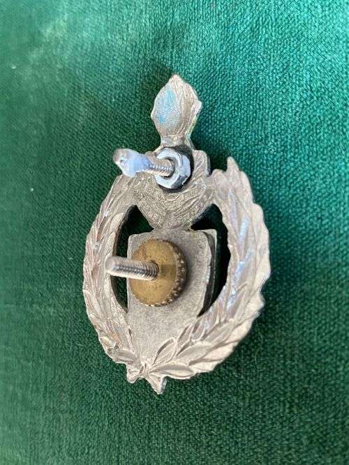 ENGINEERS/1 CONSTRUCTION REGIMENT CAP BADGE-APPROVED IN 1986-2X SCREW LUGS