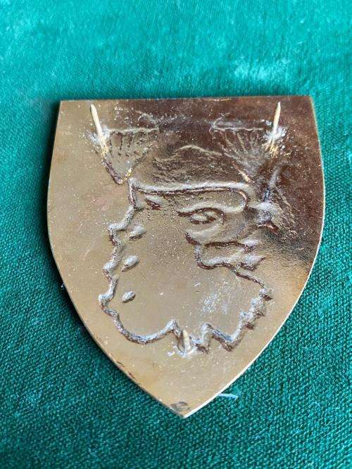 2 PARACHUTE BATTALION FLASH- 3 PINS