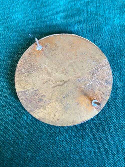 44 PARACHUTE BRIGADE,PATHFINDER FLASH- UNKNOWN PATTERN-POSSIBLE FAKE- 2 PINS