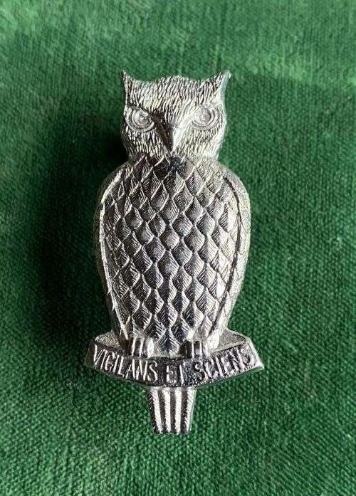 DEFENCE INTELLIGENCE BERET BADGE -WORN FROM 1985- 2X SCREW LUGS
