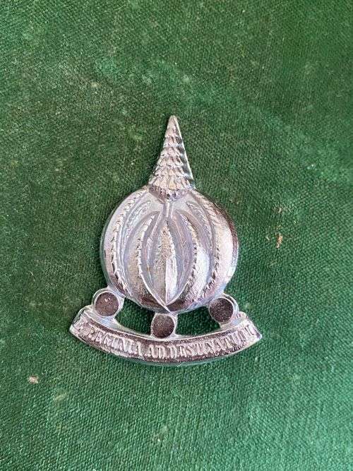 FINANCE SERVICES CORPS,CHROMED CAP BADGE-APPROVED IN 1973- ONE LUG