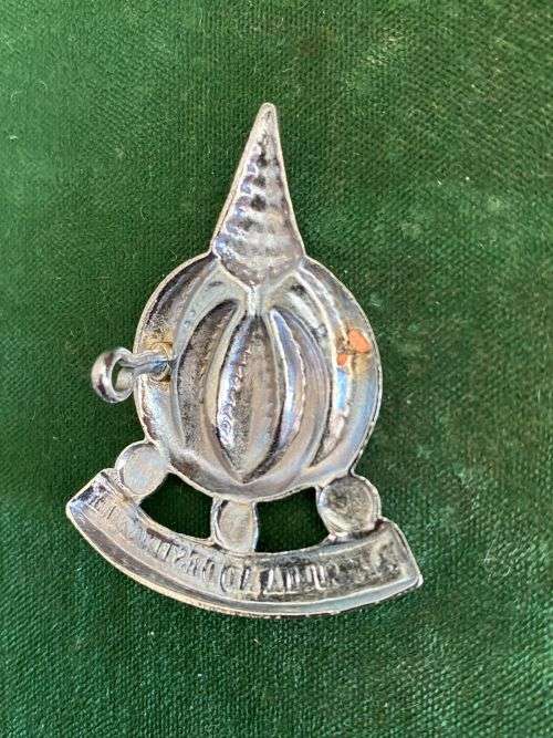 FINANCE SERVICES CORPS,CHROMED CAP BADGE-APPROVED IN 1973- ONE LUG