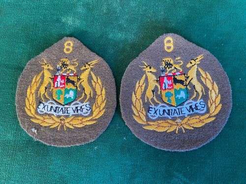 8TH DIVISION SERGEANT MAJOR RANK PAIR