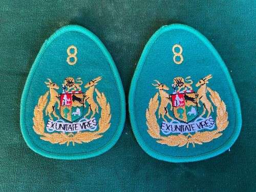 8TH DIVISION SERGEANT MAJOR RANK PAIR