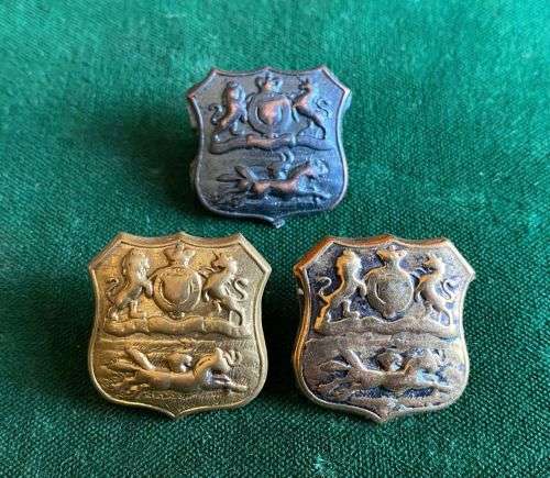 DURBAN LIGHT INFANTRY BRASS COLLAR BADGES-3X -WORN 1913-64-LUGS INTACT