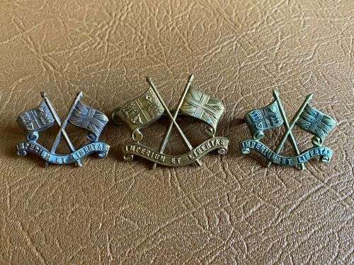 IMPERIAL LIGHT HORSE GILDING METAL CAP AND COLLARS-WORN 1913-65-LUGS COMPLETE