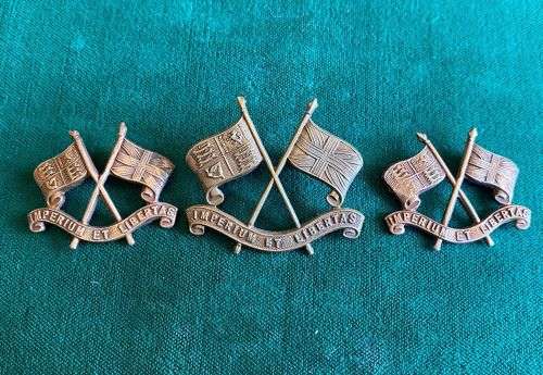 IMPERIAL LIGHT HORSE,GILDING METAL CAP AND COLLARS (NO LUGS) WORN 1913-1965