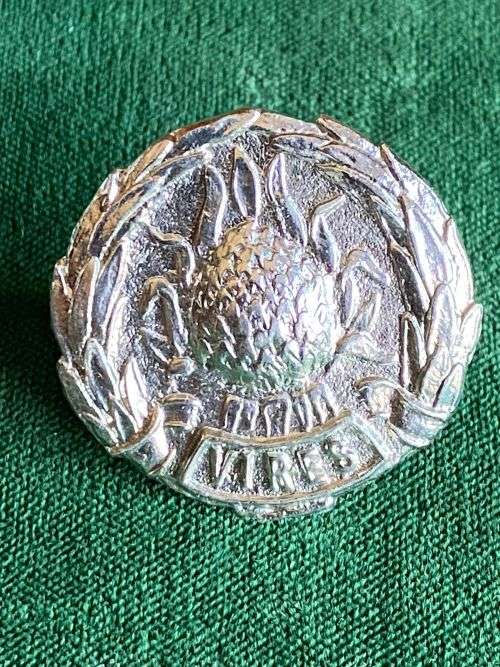 REGIMENT BOLAND CAP BADGE,CHROME,WORN POST 1964-2X SCREW LUGS