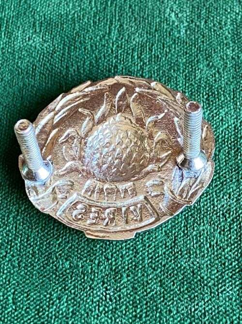 REGIMENT BOLAND CAP BADGE,CHROME,WORN POST 1964-2X SCREW LUGS