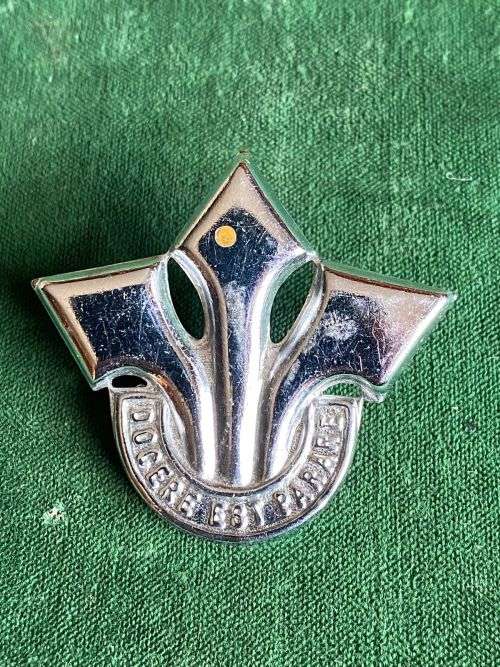 CORPS OF PROFESSIONAL OFFICERS CHROME CAP BADGE- 2X SCREW LUGS