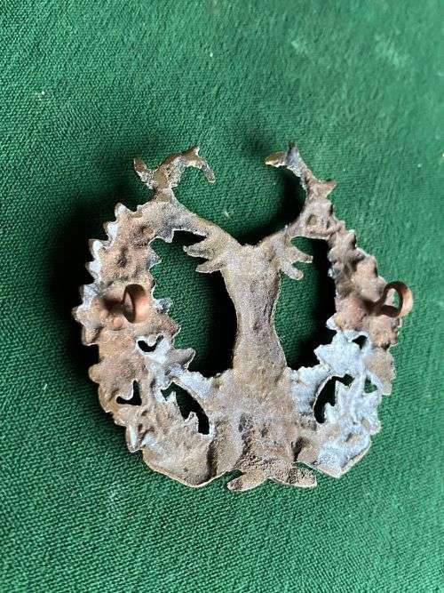 GORDON HIGHLANDERS CAP BADGE-WORN-1881-1958- 2 LUGS