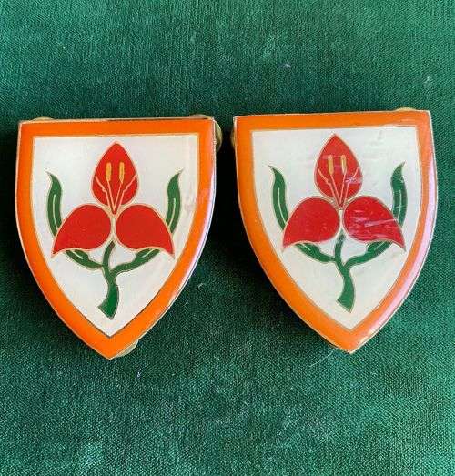SA MILITARY ACADEMY TYPE FLASH,PAIR-PINS INTACT