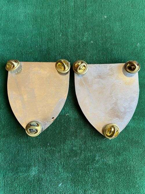 SA MILITARY ACADEMY TYPE FLASH,PAIR-PINS INTACT