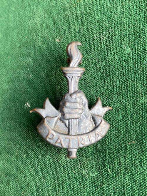 YOUTH TRAINING BRIGADE COLLAR BADGE- WORN 1941-46- 2 LUGS