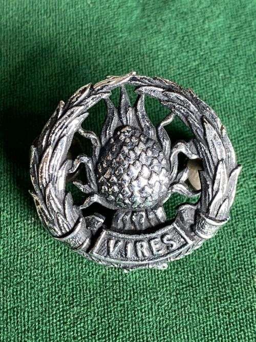 REGIMENT BOLAND CAP BADGE-WORN POST 1964- 2X SCREW LUGS