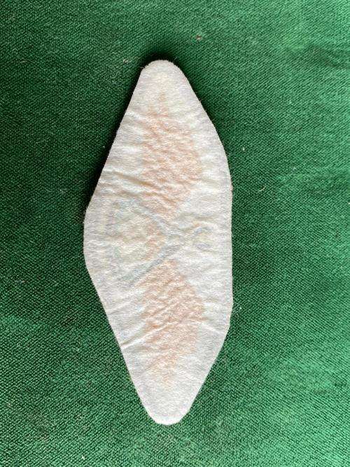 LESOTHO DEFENCE FORCE ,PARACHUTE WING WITH GREEN CENTRE