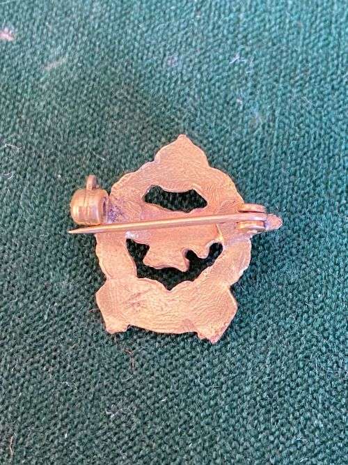 SAAF OFFICERS GILT,MESS DRESS COLLAR BADGE-WORN 1926-1959