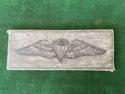 SANDF BASIC PARA WING