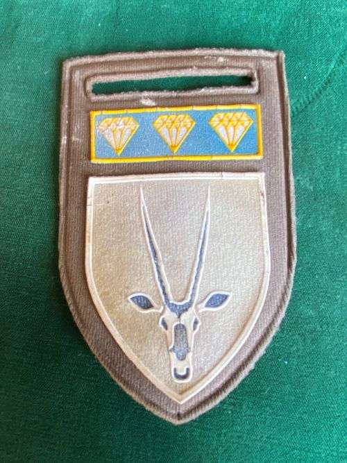 8 SA INFANTRY BATTALION WITH NORTHERN CAPE COMMAND BAR-TUPPER FLASH- ONE PIN