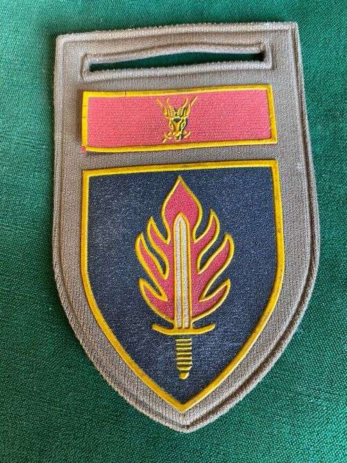 INTELLIGENCE SCHOOL WITH CHIEF OF THE ARMY COMMAND BAR-TUPPER FLASH-ONE PIN