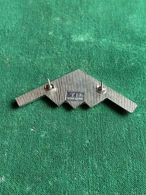 STEALTH BOMBER BADGE- 2 PINS