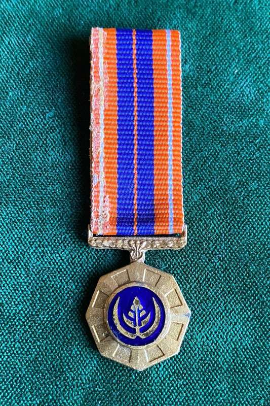 MINIATURE PRO PATRIA MEDAL