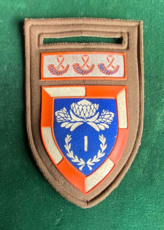 1 SPECIAL SERVICES BATTALION WITH OFS COMMAND BAR-TUPPER FLASH- NO PIN