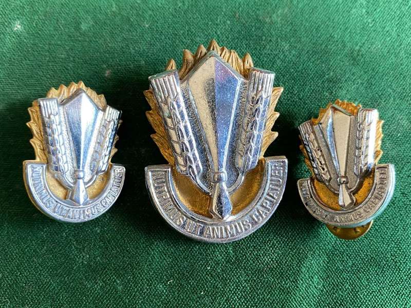CATERING CORPS CAP AND 2 COLLARS-WORN FROM MID 1980`S-ONE LUG MISSING ON CAP