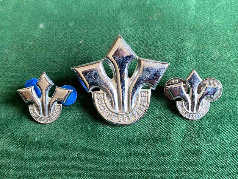 CORPS OF PROFESSIONAL OFFICERS CAP AND COLLARS IN CHROME-LUGS + PINS INTACT