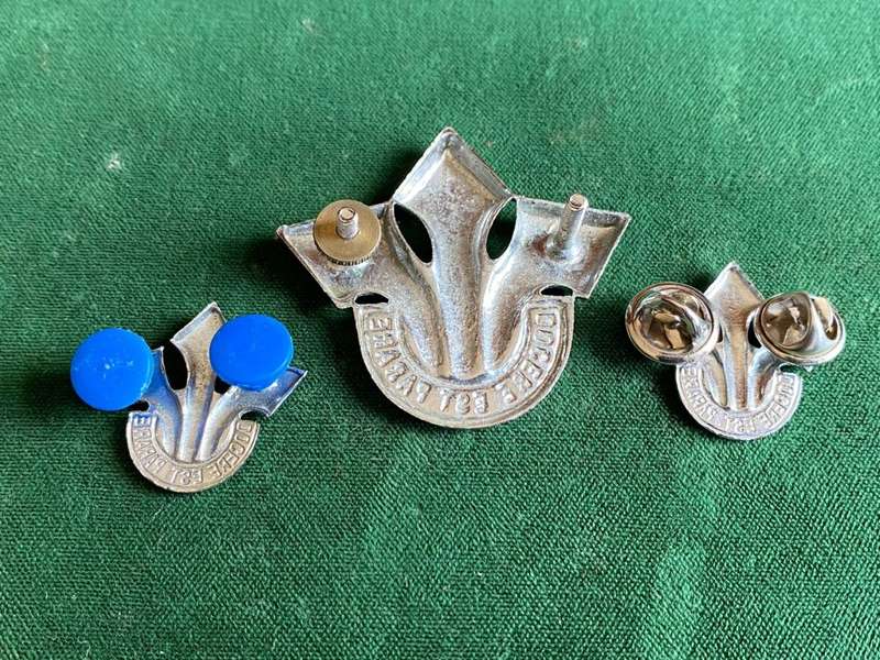 CORPS OF PROFESSIONAL OFFICERS CAP AND COLLARS IN CHROME-LUGS + PINS INTACT