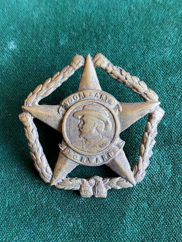 REGIMENT BOTHA GILDING METAL CAP BADGE-WORN POST 1962- 2 LUGS
