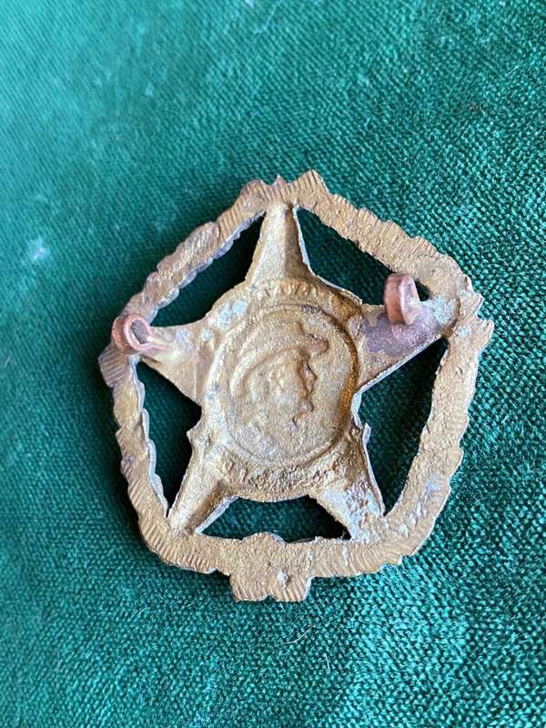 REGIMENT BOTHA GILDING METAL CAP BADGE-WORN POST 1962- 2 LUGS