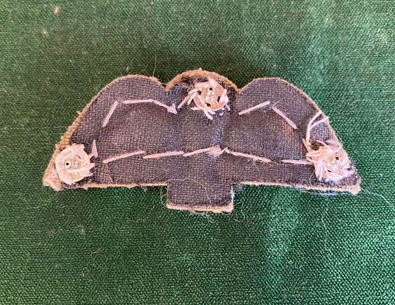 GREAT BRITAIN-ROYAL ARMY EDUCATION CORPS,BULLION EMBROIDERED PARA WING