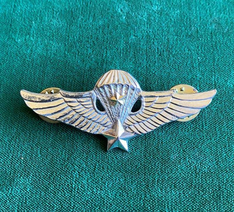 REPUBLIC OF VIETNAM SPECIAL FORCES-SENIOR PARA WING- 2 PINS