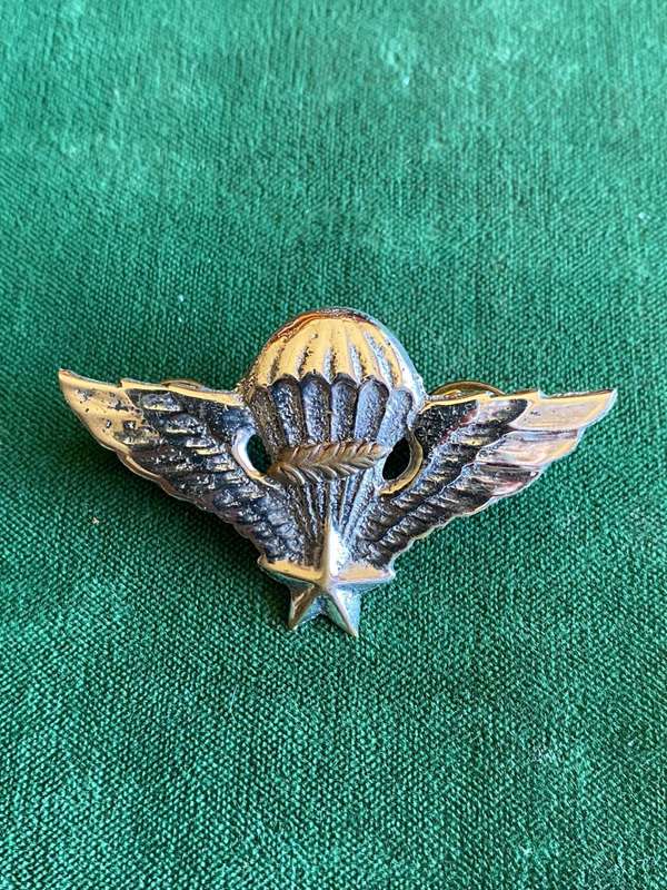 REPUBLIC OF VIETNAM SPECIAL FORCES-MASTER PARA WING- 2 PINS- PRE 1980